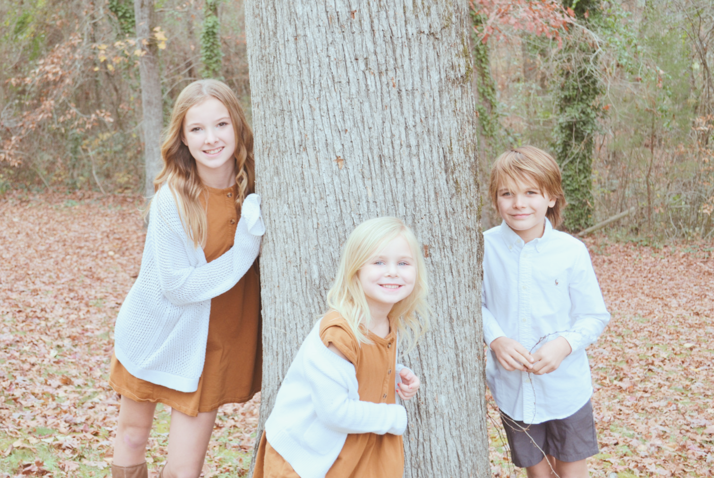 BlueWillowEmbroidery, embroidery designs