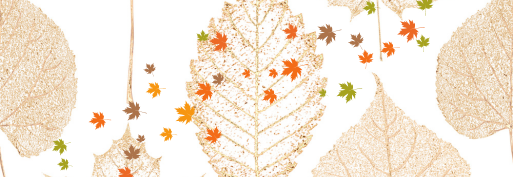 Fall Into Creativity with Stunning Fall Embroidery Designs